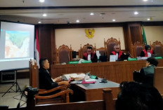 Sidang Sengketa Tambang Nikel, Terdakwa Ungkap Ada Aktivitas Penambangan Lain di IUP PT WKM