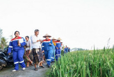 Lewat DEB Keliki, Pertamina Wujudkan Ketahanan Pangan Berbasis Energi Bersih