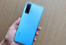 HP Vivo Y20S Dengan Desain Elegan dan Fitur Yang Serbaguna