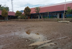 SDN 21 Lebong Berharap Perbaikan Lapangan Sekolah