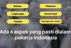 Gaji Besar Bukan Jaminan, Realita Pahit Hidup di Luar Negeri