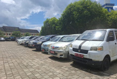 Puluhan Mobil Dinas Lebong Dilelang, PAD Ditarget Rp 2 Miliar
