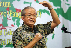 MUI Dukung Penuh Kejagung Usut Korupsi Pagar Laut