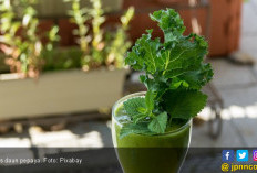 4 Manfaat Daun Pepaya, Sahabat Terbaik Penderita Diabetes