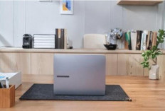 ASUS ExpertBook PM3: Ini Harga dan Keunggulannya !