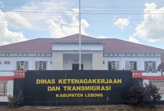 Hingga Oktober, Disnakertrans Terbitkan 248 Kartu Kuning 