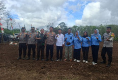 BUMDes Mandiri Kota Baru Santan Kelola Lahan Tidur Jadi Kebun Jagung