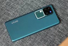 3 HP Vivo RAM 12GB + 5G Terbaik 2025, Lengkap Disertai Harganya