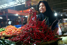 Harga Pangan Sejumlah Komoditas Stagnan Tinggi