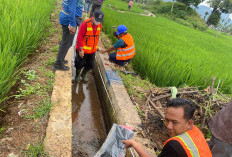 KN Rp 329 Juta Belum Dikembalikan, Perkara Bungin 2023 Bakal Masuk Babak Baru    