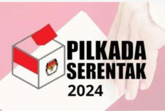 Data Sementara: 4 Pasang Nama Ini Daftar Calon Perseorangan pada Pilkada 2024 di Bengkulu 