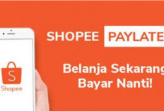Cara Beli Token Listrik Pakai Shopee Paylater