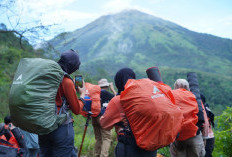 Pengumuman, Pemerintah Tutup Pendakian di Lima Gunung Jelang Tahun Baru