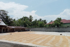Harga Beras di Lebong Tengah Tembus Rp 225 Ribu per Kaleng