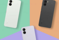 Spesifikasi dan Harga Smartphone Nubia S2