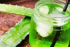 3 Minuman dari Bahan Alami Memiliki Manfaat untuk Membantu Tetap Sehat dan Bugar