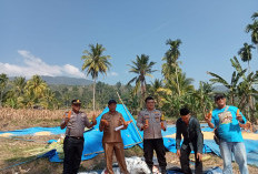 Polri Hadir di Tengah Petani, Kapolsek Lebong Tengah Dukung Ketahanan Pangan