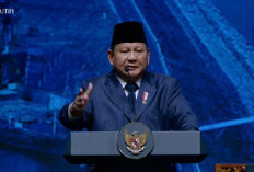 Prabowo Ambil Alih Persoalan 4 Pulau Aceh-Sumut, Keputusannya Pekan Depan