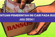 Wajib Tahu! 7 Bantuan Pemerintah yang Cair pada Juli 2024