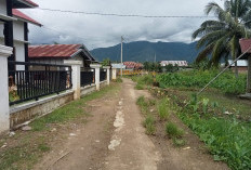 Warga Tanjung Bungai I Nantikan Pembangunan Jalan Desa