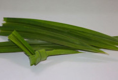 5 Khasiat Teh Daun Pandan yang Bikin Kaget