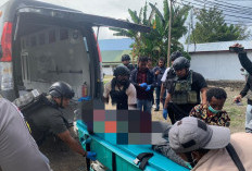 2 Pekerja Bangunan Gereja Tewas Ditembak KKB di Jayawijaya, Keji