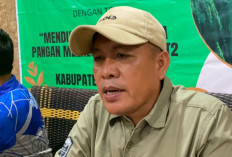 Stok Pangan Dipastikan Aman Hingga Awal Tahun