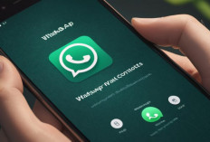 Trik Ampuh! Kirim Pesan WhatsApp ke Orang yang Memblokir Anda dengan Mudah