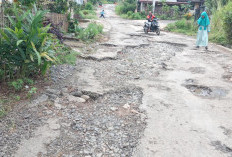 Jalan Rusak Parah, Warga Minta Perhatian Pemerintah