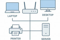Cara Memasang Jaringan LAN di Rumah