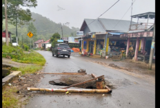 Jalan Berlubang Ancam Pengendara 