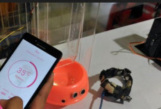 Gadget untuk Hewan Peliharaan, Bantu Pantau 