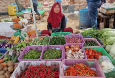 BPS: Inflasi November 2025 Tembus 2,72 persen, Riau Tertinggi