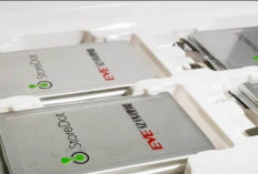 Ekosistem Baterai Karawang Disebut Beri Dampak Nyata Bagi Ekonomi Nasional