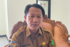 Kasus DBD di Lebong Turun Drastis, Dinkes Minta Warga Tak Lengah