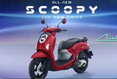 New Scoopy Stylish Grey 2026: Warna Hero dengan Nuansa Retro Modern