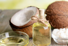 3 Jenis Minyak Alami yang Bikin Kulitmu Halus dan Glowing