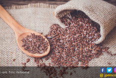 3 Makanan Tinggi Serat yang Baik untuk Pencernaan