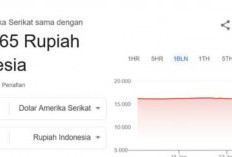 Viral Kurs 1 Dolar di Angka Rp8.000-an? Begini Faktanya