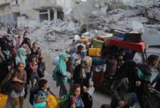 Evakuasi Warga Gaza ke Indonesia Perlu Perencanaan Matang