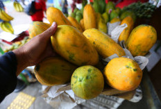 6 Manfaat Pepaya, Turunkan Risiko Serangan Flu