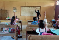Guru PPPK Mengajar di Sekolah Swasta? Oh, yang Negeri Masih Kekurangan