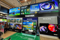 Toshiba TV Z770R Hadirkan Mini LED & REGZA Intelligence, Performa Visual Lebih Baik