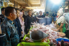 Satgas Saber Pelanggaran Pangan Tegur RPH Pulo Gadung yang Jual Ayam di Atas HAP