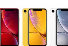 Perbandingan Kamera iPhone 15 Pro dan OPPO Reno 11 Pro