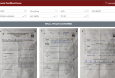 Grafik Real Count Dihentikan, KPU Prioritaskan Rekapitulasi Manual