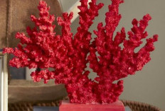 4 Warna Rumah yang Datangkan Rezeki Tahun 2026 Menurut Ilmu Feng Shui