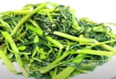 Manfaat Sayur Kangkung dan Tips Sehat Mengonsumsinya