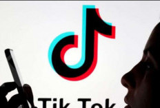 Rilis Fitur Terbaru, TikTok Tambahkan Ini Untuk Penulis Lagu