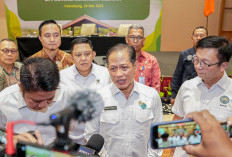Perusahaan Sawit di Sumsel Bakal Disanksi Tegas jika Tak Siap Cegah Karhutla